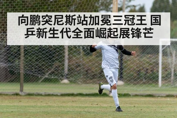 向鹏突尼斯站加冕三冠王 国乒新生代全面崛起展锋芒